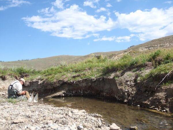 Scientist conducting energy and wildlife research near a Wyoming stream