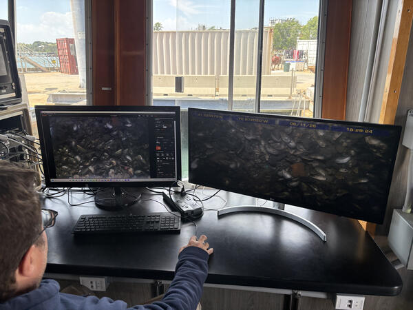 Two computer screens showing the seafloor