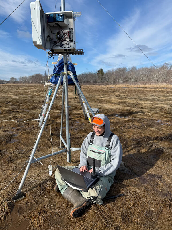 Scientist doing fieldwork in a coastal wetland