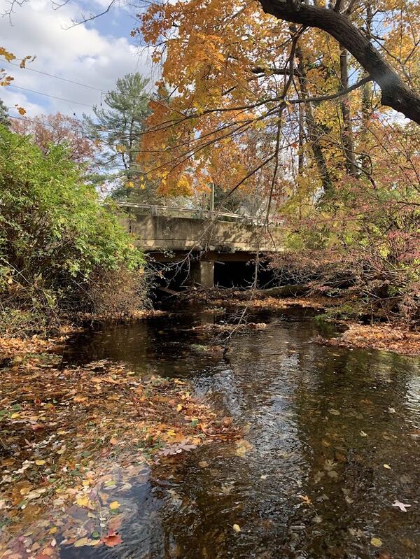 Looking downstream at a bridge over the river
