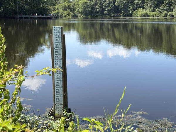 A staff gage at Echol Lake, Virginia