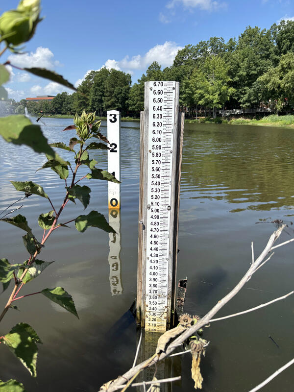 A staff gage for measuring peak water level in an urban lake in Virginia