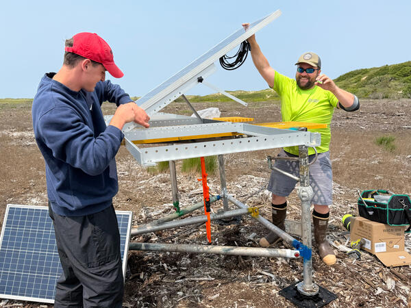 Two scientists working in a coastal wetland