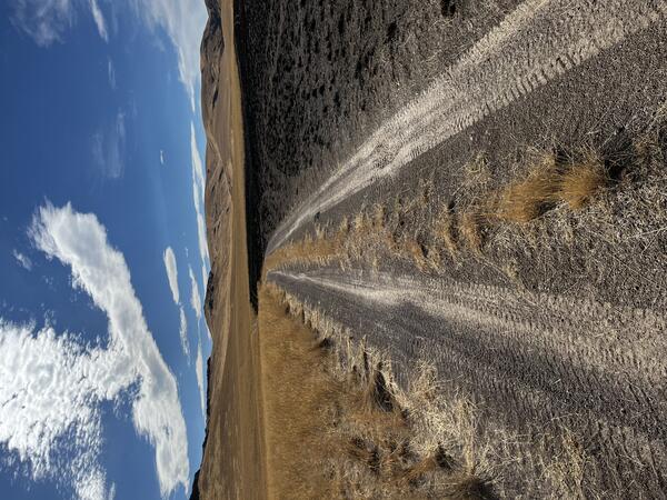 a dirt road, to the left of the road is a field of brown grass, to the right is black scorched soil