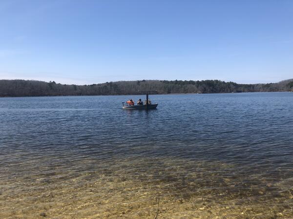 small boat on pond, trees lining the edge of the pond