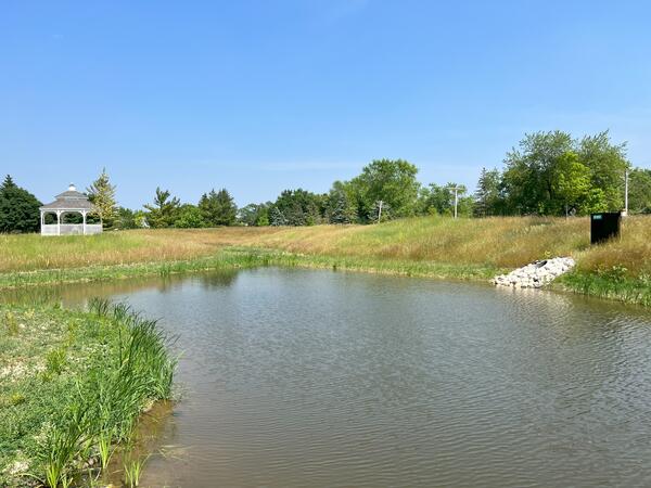 First year plantings of native wetland species surround main wetland pond with elevated outlet and outlet monitoring station