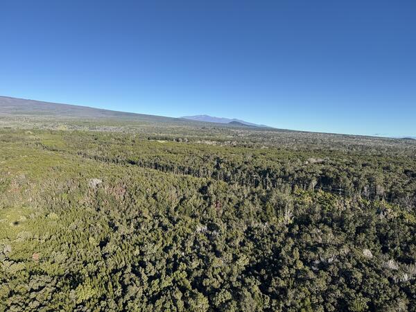 Color photograph of volcanic landscape