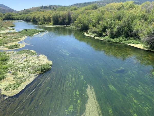 The Portneuf River flows calmly away from the camera. The water is clear and shows long strings of algae growing on the bottom of the channel.