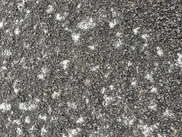 Color photograph of tephra covering paved ground surface