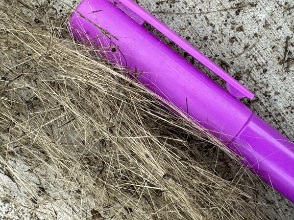 Color photograph of volcanic glass strands with pen cap for scale