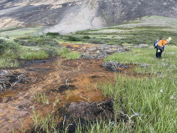 Person walking through green grass next to an orange creek.