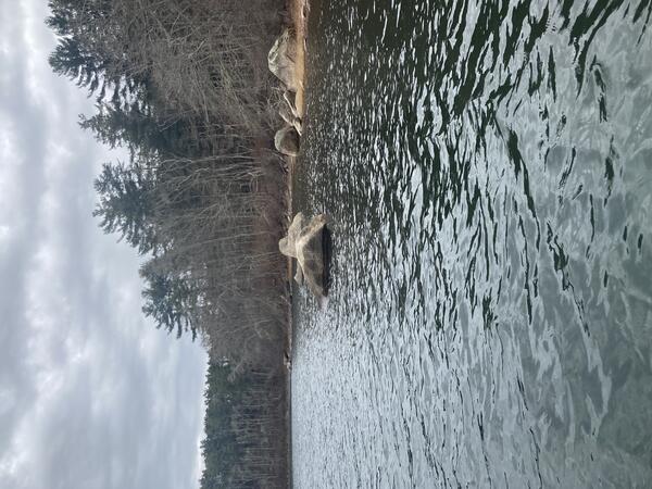 pond and shoreline with trees and rocks
