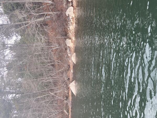 pond and pond shoreline with rocks and bare trees