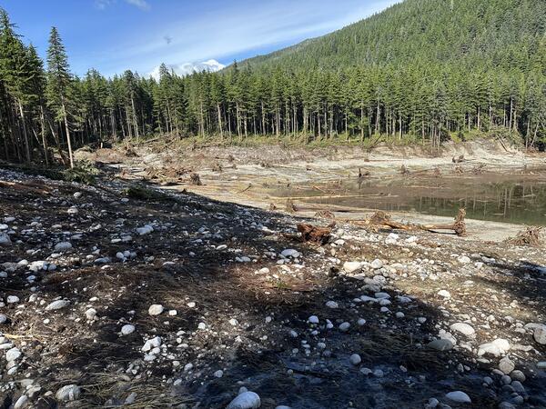 Photo of shoreline with debris showing tsunami-inundated area 