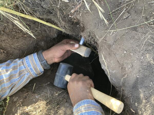 a person reaches into a hold and pounds a stake into the soil with a rubber mallet