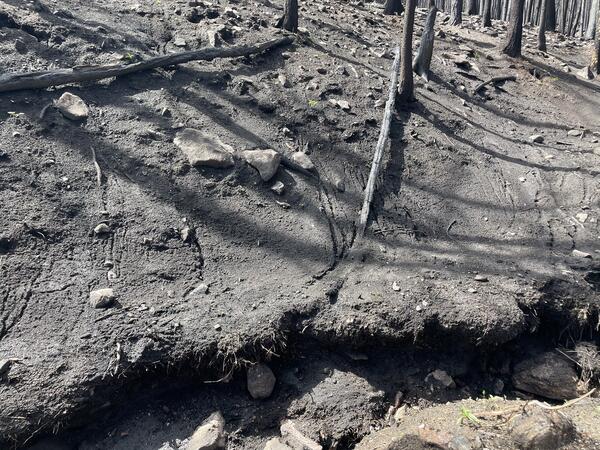 hillslope devoid of vegetation covered with dark soil, small boulders, and burned trees