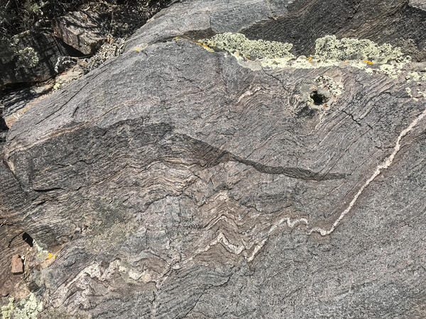 Close up view of metagreywacke