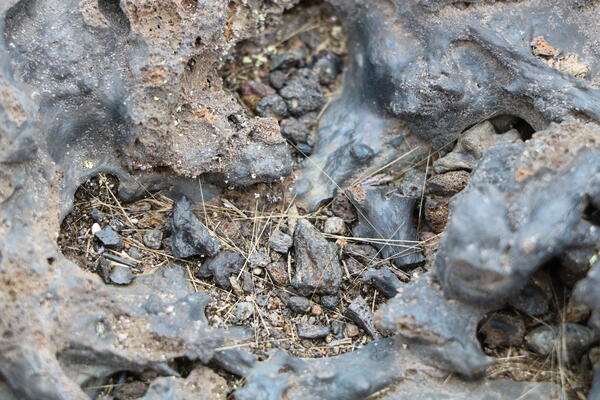 Strands of volcanic glass on the ground