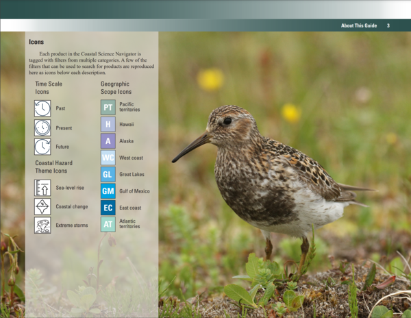 Time scale, geographic scope, and coastal hazard theme icons. Image showing bird in grass.