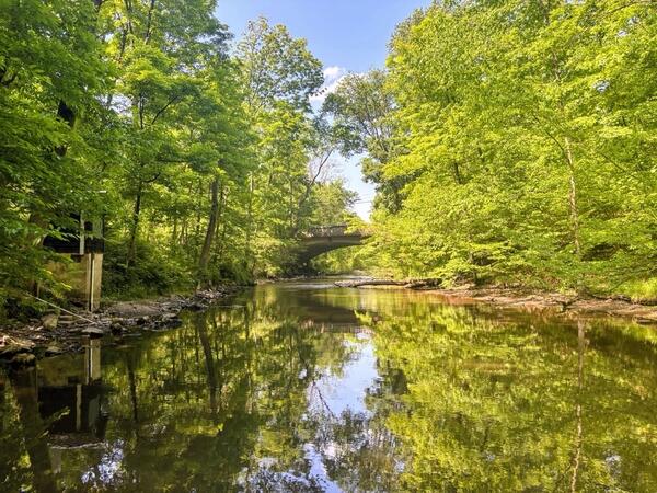 Looking upstream along a bright green treelined river towards a bridge in the distance.