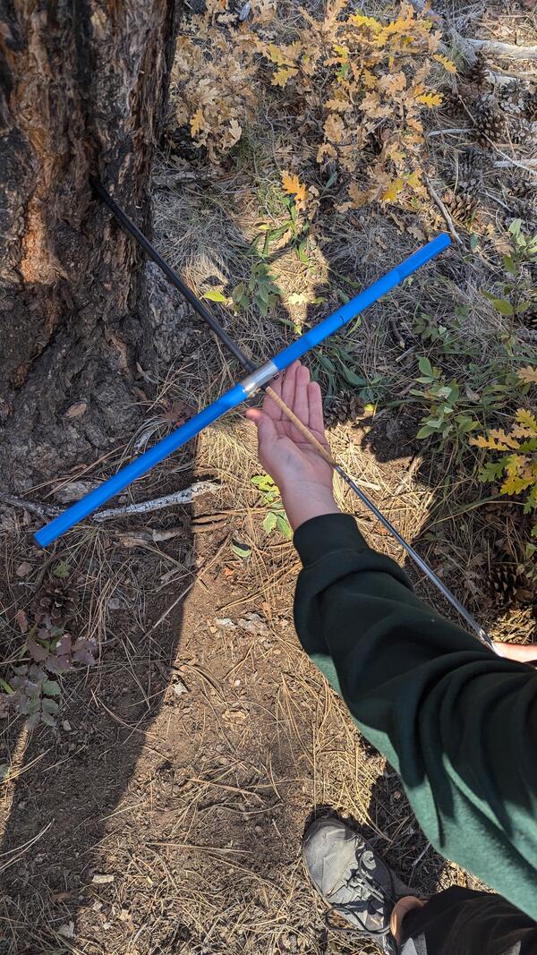 a hand holds an X-shaped tool, with one end of the tool stuck into a tree, leaves and grasses on the ground