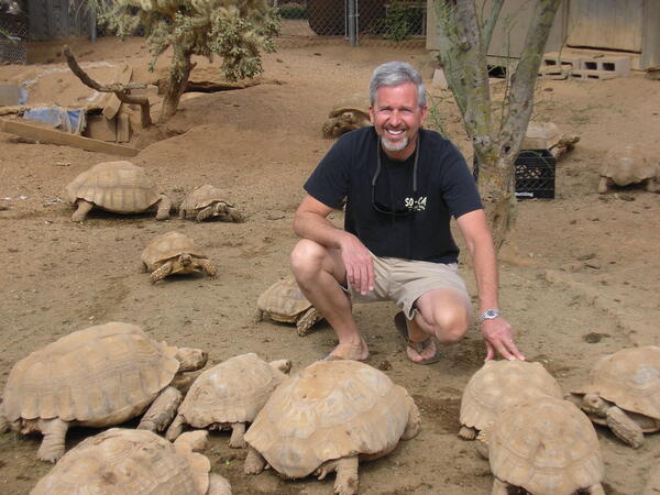 Dr. Jeff Lovich is next to spur-thighed tortoises in Phoenix, AZ