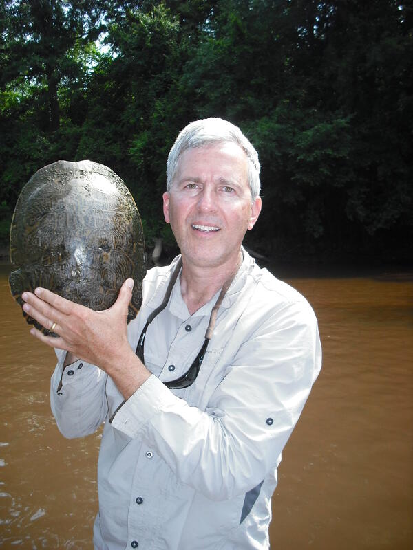 Dr. Jeff Lovich holds an Eastern river cooter in the Pea River, Alabama