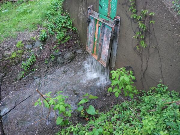 Rectangular hinged metal door on a concrete wall for combined sewer overflow to a stream
