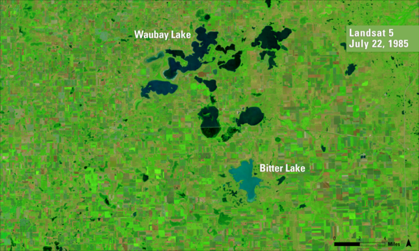 Satellite image with various shades of green, pink and blue with text labels in white