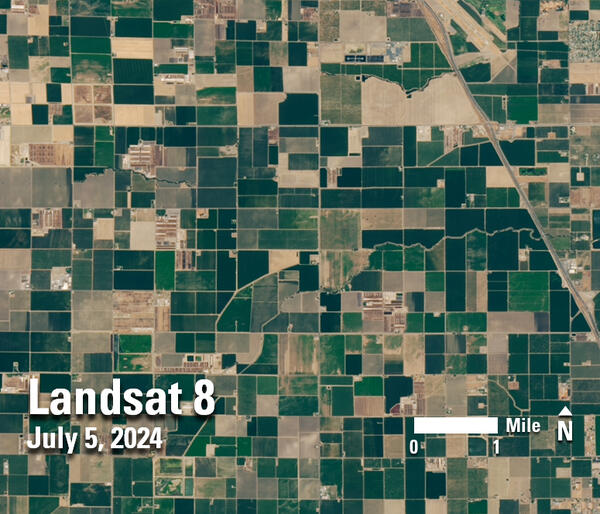 A satellite image showing fields in various shades of greens and browns