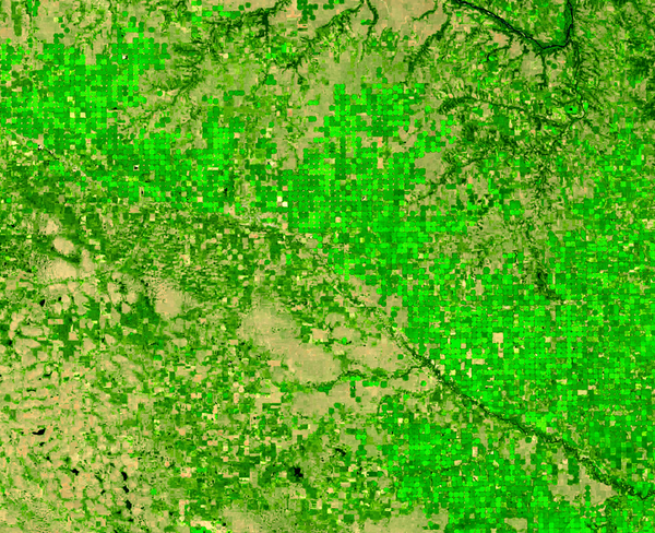 A Landsat 9 image of irrigated cropland in northeast Nebraska during the 2024 growing season