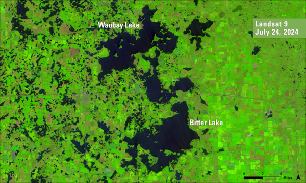 Satellite image with various shades of green, pink and blue with text labels in white