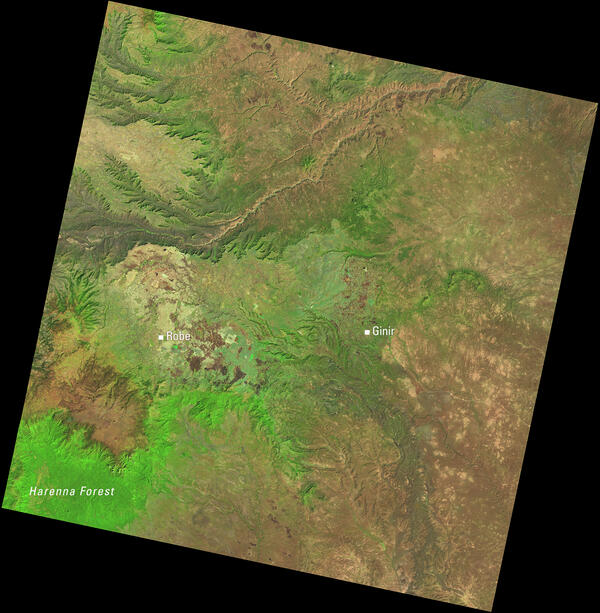 Satellite image of Ethiopia’s central highlands showing Robe, Ginir, and the Harenna Forest.