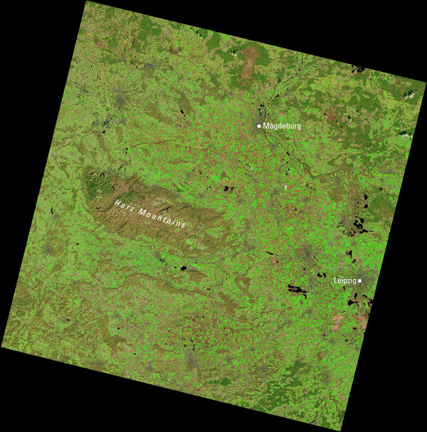 a satellite image showing shades of brown and green