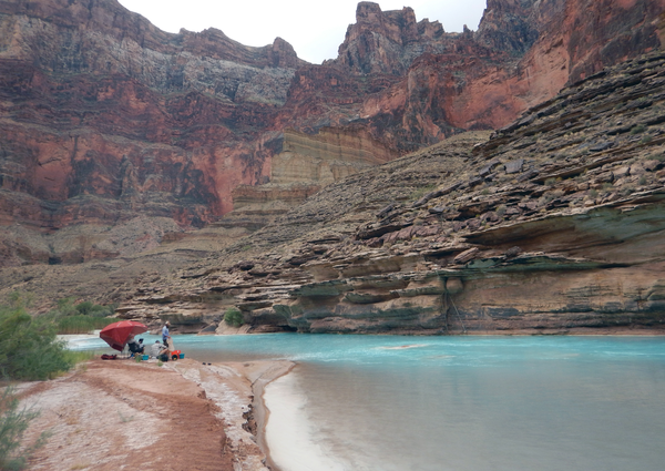 Researchers gather under a red umbrella & collect data on humpback chub at the blue Little Colorado River in Grand Canyon