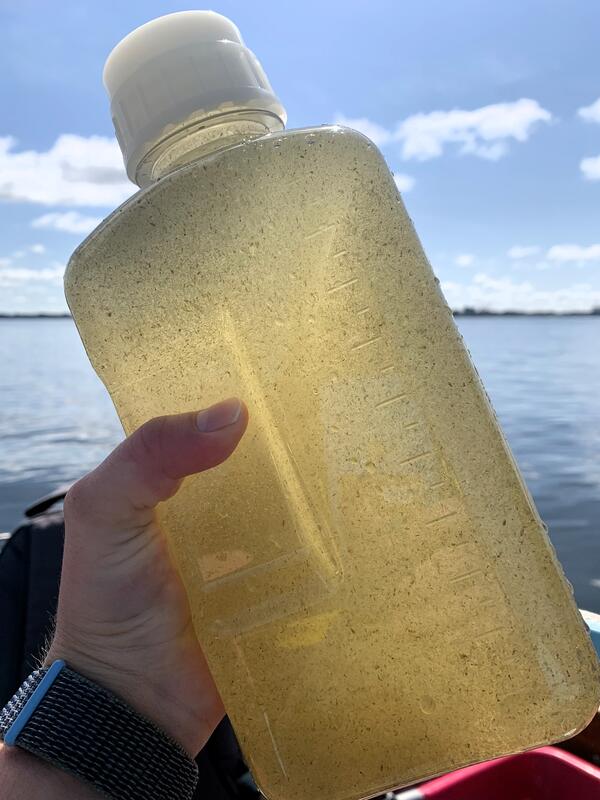 A scientist's hand holding a plastic sample bottle filled with yellow lake water, with lake in the background