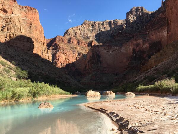 The light blue Little Colorado River runs through a steep canyon with vegetation on the banks