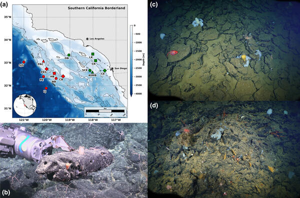 Diagram showing ROV images of sampling sites off the Southern California Borderland and map of study area