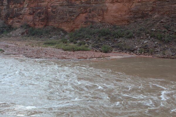 The sediment-filled Colorado River with whitewater rapids and water flow over a sandbar during a monsoon storm