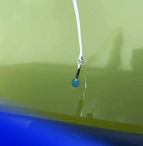 An eDNA sampling cup with an attached filter is connected to a hose and lowered from the boat into the water