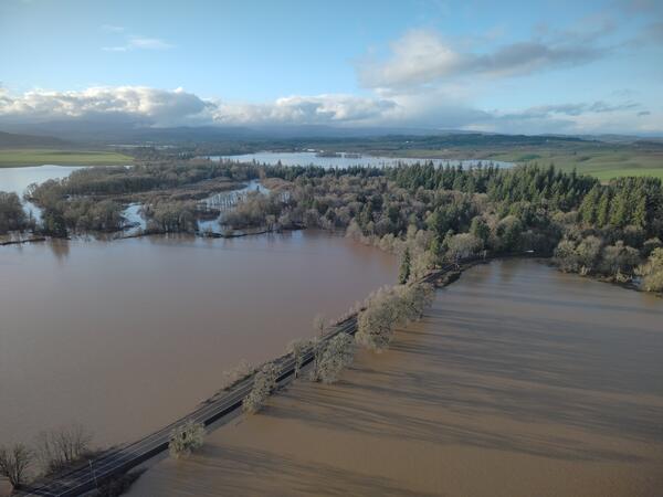 birds eye view of a road sparsely lined with trees is surrounded by flood waters