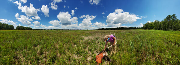 Researcher in a field