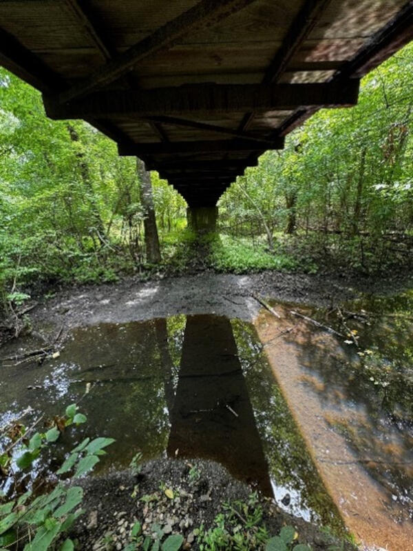 Looking at a small stream flowing over a riffle under a bridge