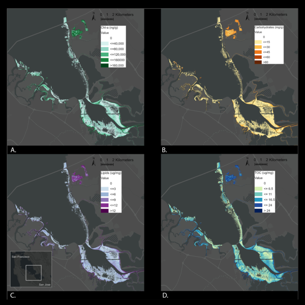 Maps showing chlorophyll-a concentration, carbohydrates, lipids, and total organic carbon in southern San Francisco Bay