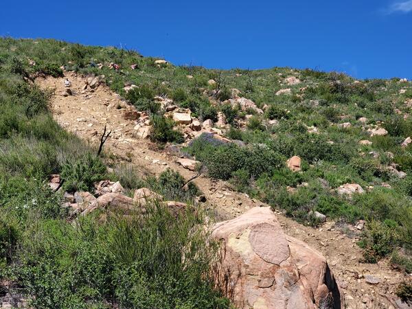 Dirt, rocks, and shrubs surround a landslide on the side of a hillslope