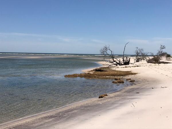 Wilderness Inlet, Fire Island, NY