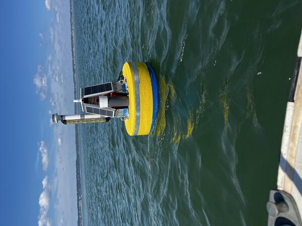 A yellow buoy in a bay.