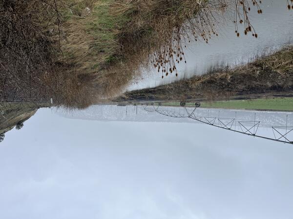 a small narrow waterway with grassy banks flows between an agriculture field and a roadway. Rainy cloudy day