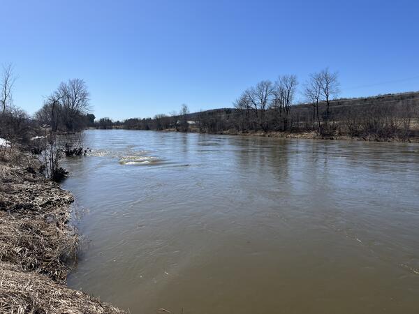 A view of a large river with barren landscape and trees in the background. 