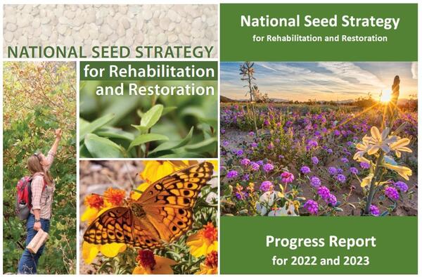 Covers of the Plant Conservation Alliance National Seed Strategy Progress Report for 2022 and 2023 (left) and the National Seed Strategy for Rehabilitation and Restoration (right).